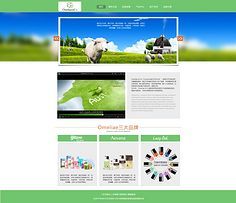 網(wǎng)頁與網(wǎng)站設計 打造卓越用戶體驗的關(guān)鍵要素